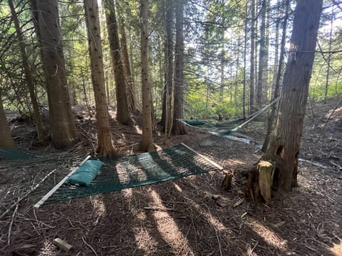 Relax in hammocks by the tranquil seasonal creek near Silverwood Theme Park.
