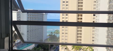 Living Room Windows View.