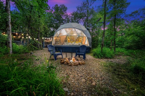 Th Honey Dome
