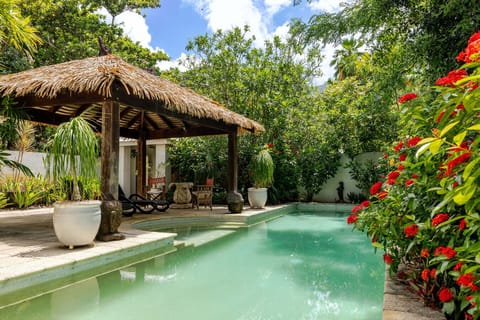 Stunning private pool with rainforest mountain view