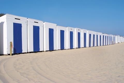 Region [summer] (>5 km)