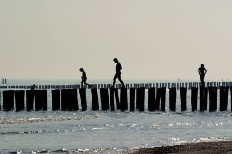 Immediate Surroundings [summer] (<1 km)