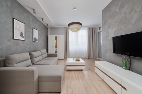 Modern living room with a gray sofa, TV, and a large window with white curtains.
