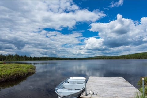 View of the lake (1)