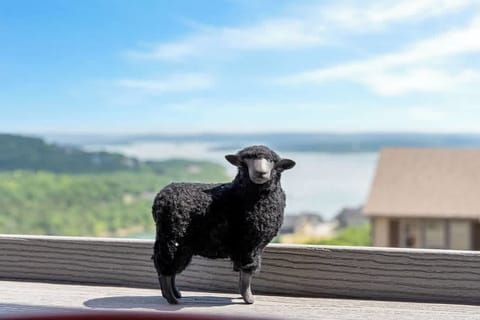 Hi, I'm Earl the black sheep!  I own this here lodge and I'm excited to host you.  Sometimes I hang out on the deck!  LOOK AT THAT GORGEOUS LAKE VIEW!