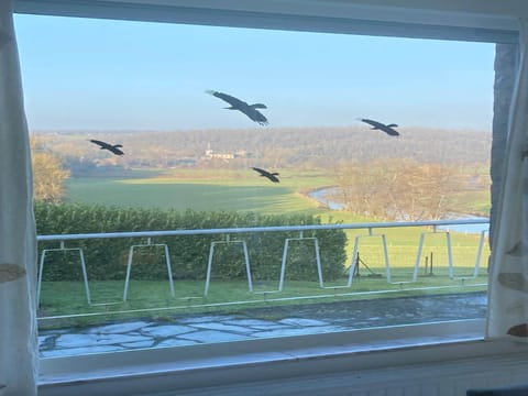 View from Holiday Home [summer]