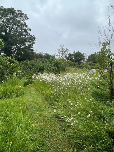 Studio | Property grounds