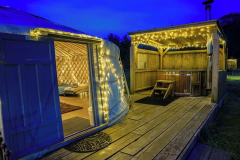 Individually decorated, individually furnished, iron/ironing board