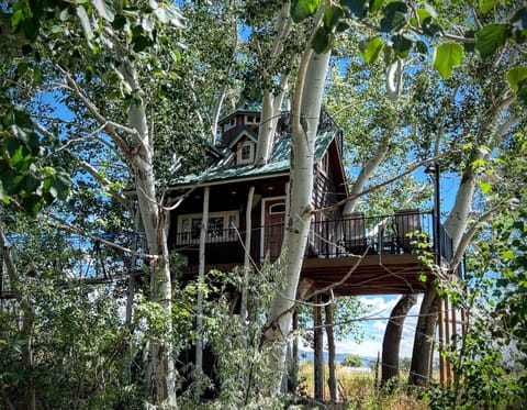 A fabulous three story treehouse, built in a giant tree! Make lasting memories!