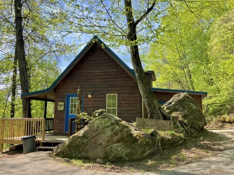 Mammoth Arch Cabin!