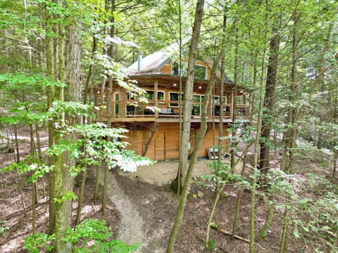 The Founder Cabin. Surrounded by trees, and only a few steps away from one of the best dinners the RRG has to offer at The Rockhouse restaurant. 