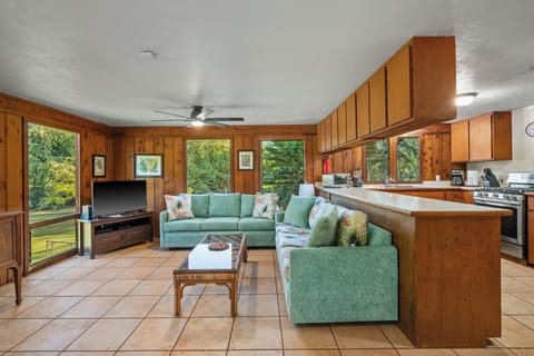 Living area and kitchen area