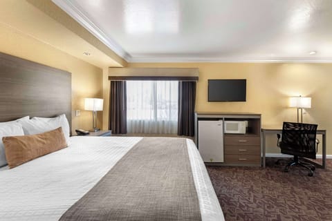 Standard Room, 1 Queen Bed, Accessible, Bathtub | Desk, laptop workspace, blackout drapes, iron/ironing board