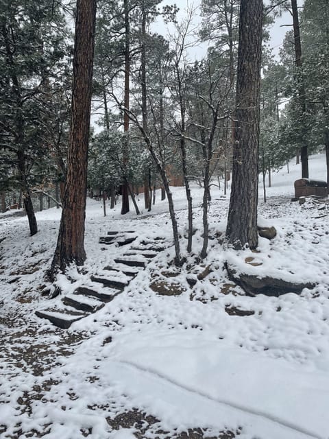 Views from the living room window!