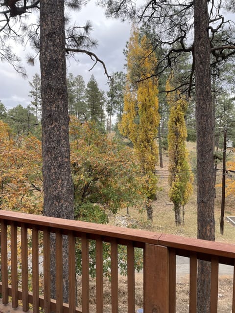Views from patio deck in the fall.