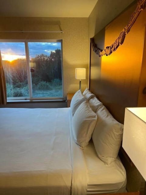 Blackout drapes, iron/ironing board, free WiFi, bed sheets