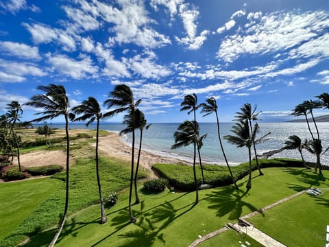Swaying palm trees in paradise