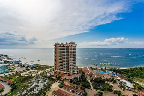View 1.0