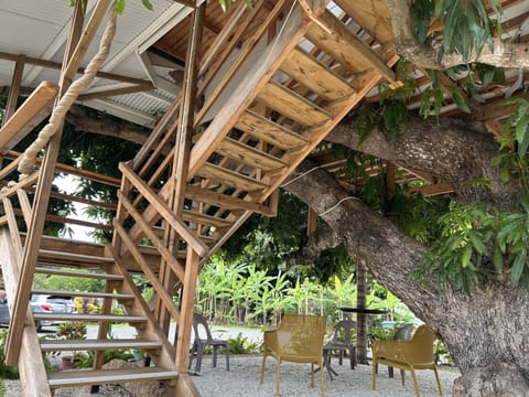 Panoramic Tree House, Ensuite, Garden View | Property entrance