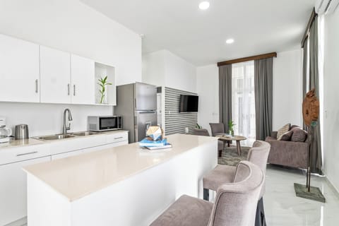 Luxury Apartment | Private kitchen | Fridge, microwave, oven, coffee/tea maker