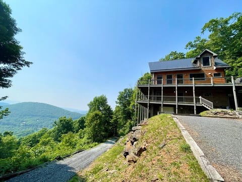 Owl's View