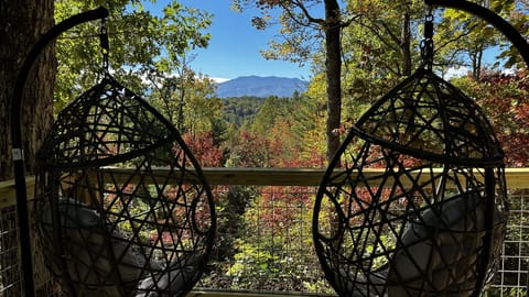 Swing into serenity with stunning views of Mount LeConte framed by vibrant forest colors.