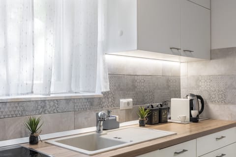 Deluxe Apartment | Private kitchen | Coffee/tea maker, electric kettle