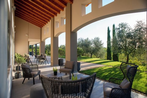 Studio | View from room