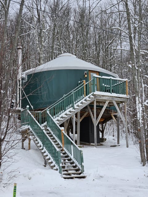Deluxe Tree House | Front of property