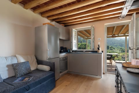 Villa | Private kitchen | Full-size fridge, microwave, oven, stovetop