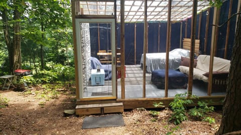 The shining thru at midday is a great time to be out hiking