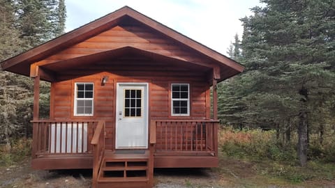 Front of Cabin - Summer