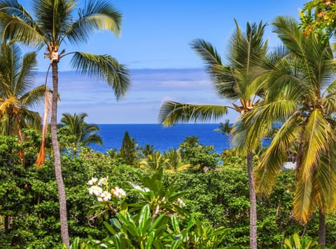 "The upstairs balcony with ocean view is absolutely stunning." - Kelly, Seattle