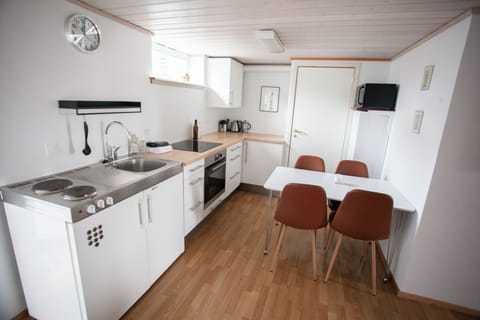 Apartment | Private kitchen | Coffee/tea maker, fridge, oven, electric kettle