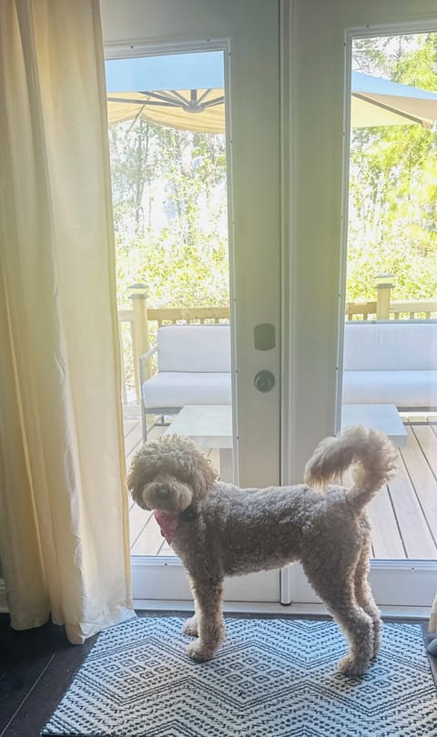 animal friendly - with a small fee ( no need to leave your fur babies @ home) 