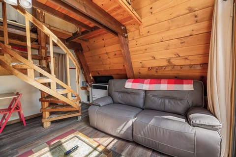 Basic Cabin | Living area
