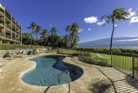 Relax by the resort's sparkling pool while taking in breathtaking ocean and mountain views, surrounded by swaying palm trees and Maui's natural beauty.