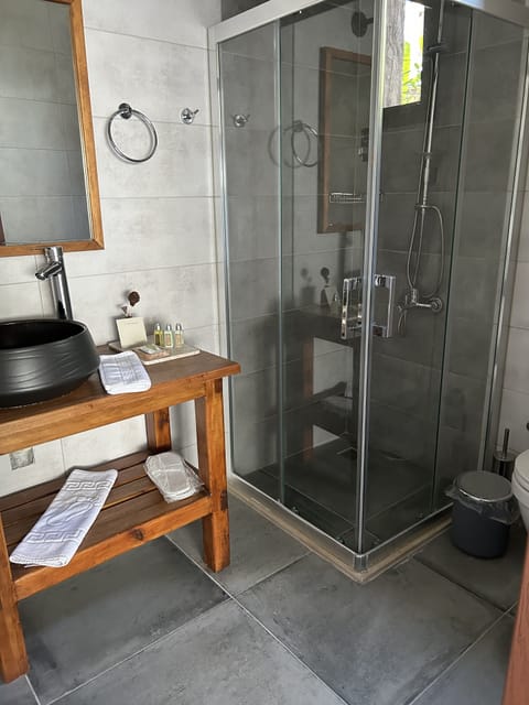 Deluxe Room | Bathroom | Shower, rainfall showerhead, free toiletries, hair dryer