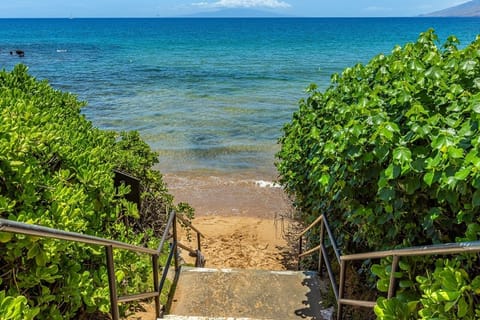 Condo, 1 Bedroom | Beach | Beach nearby