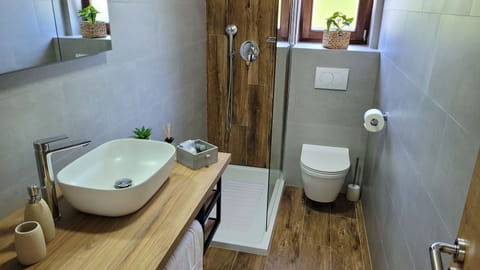 Deluxe Room | Bathroom | Shower, rainfall showerhead, hair dryer, towels