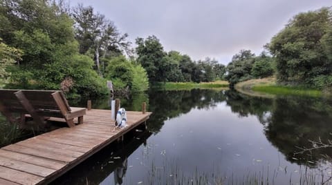 Shared Pond- No fishing or swimming. 