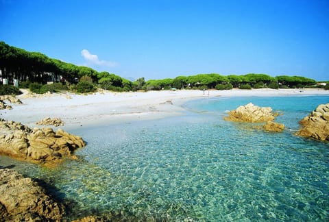 Apartment, 2 Bedrooms, Balcony | Beach