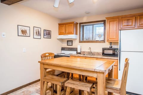 Lower level- kitchenette