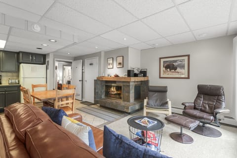 living area with gas fireplace