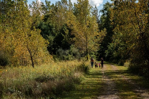Scenic walking trails