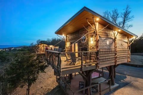 Honey Hole at dusk, tucked into the trees with the romantic bistro lights on.