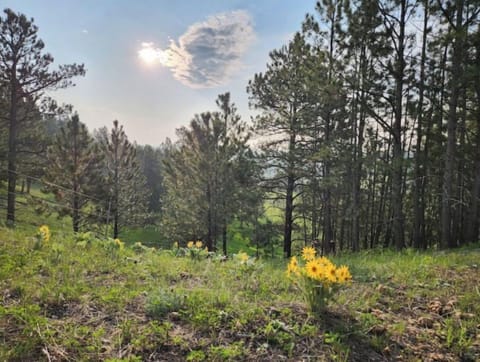 variety of wildflowers throughout the spring, summer and fall