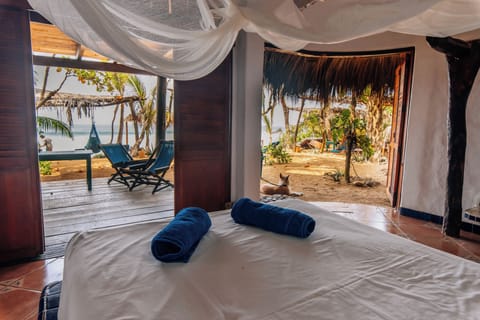 Dolphins | In-room safe, free WiFi, bed sheets