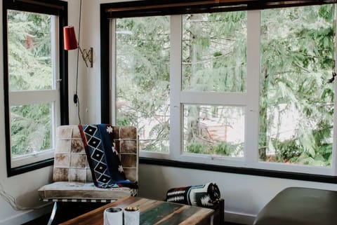 Surrounded by windows in a magical forest! 