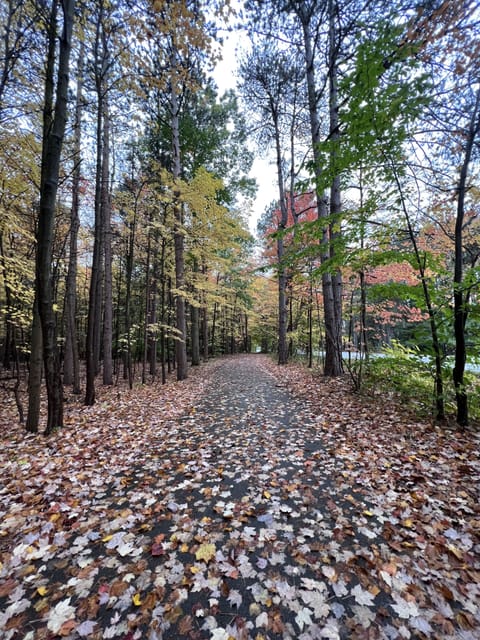Walking path across the street from home